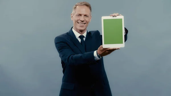 Cheerful mature businessman showing digital tablet with green screen isolated on grey — Stock Photo