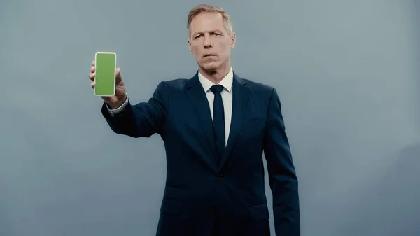 Businessman holding cellphone with green screen and looking at camera isolated on grey - foto de stock