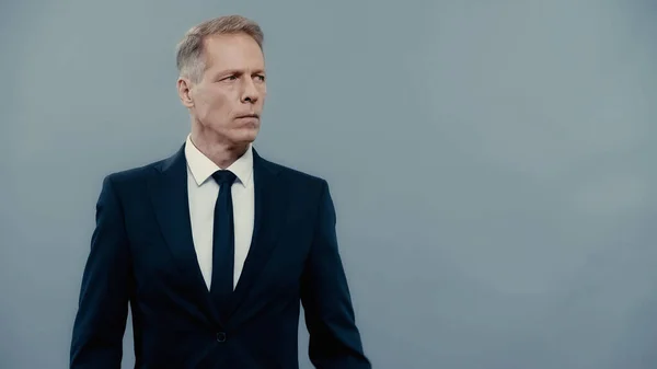Serious mature businessman in suit looking away isolated on grey — Stock Photo