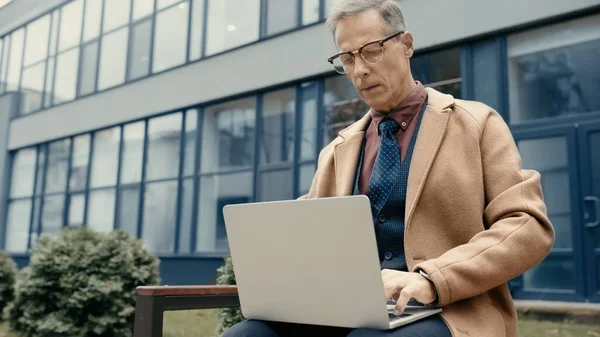 Middle aged businessman using laptop on bench near building outdoors — стоковое фото