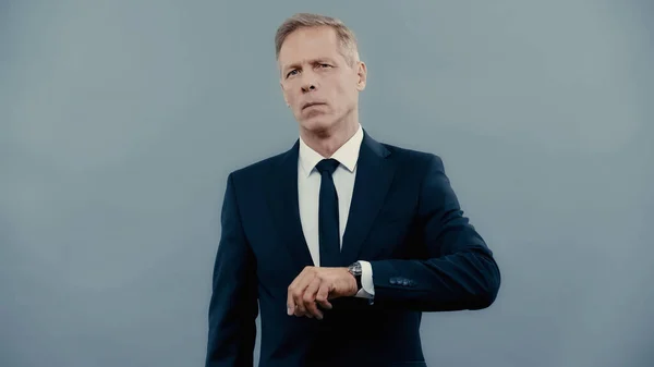 Middle aged businessman in suit looking at camera isolated on grey — Stock Photo