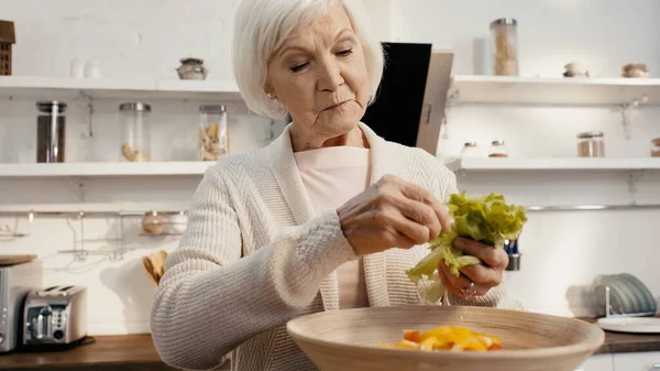 Senior woman preparing vegetable salad and adding fresh lettuce into bowl — Stockfoto