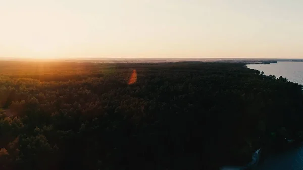 Aerial view of forest and river at sunset — Stock Photo