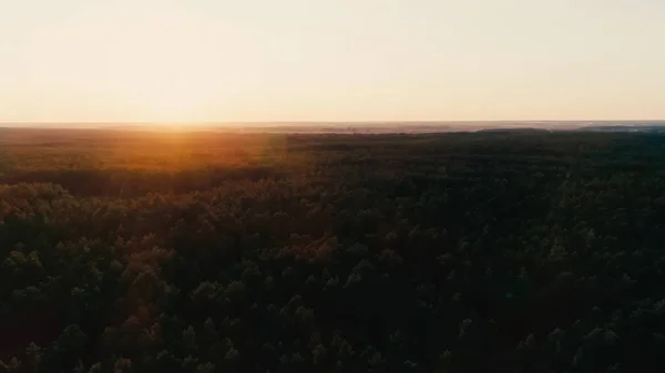 Вид з повітря на захід сонця небо і ліс — стокове фото