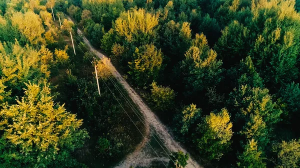 Vista aérea das linhas de energia na floresta verde — Fotografia de Stock