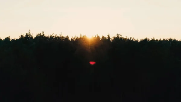 Vista panoramica del cielo al tramonto e della foresta — Foto stock