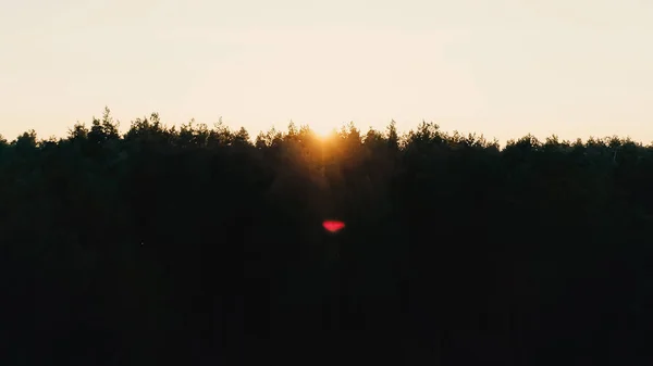 Vista panorámica del cielo y el bosque al atardecer - foto de stock