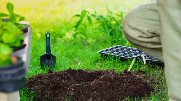 Cropped view of gardener near soil and blurred plaints in garden — Photo de stock