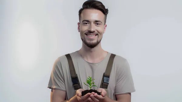 Smiling gardener holding soil and plant on grey background — Foto stock