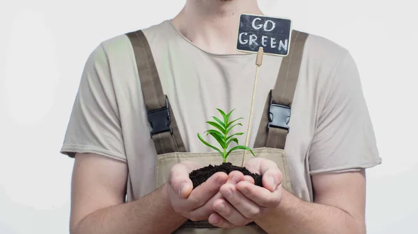 Cropped view of gardener holding plant and board with go green lettering on grey background — Stock Photo
