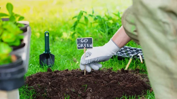 Cropped view of gardener putting board with go green lettering in soil near tools and plants in garden — Stock Photo