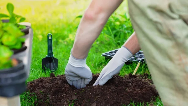 Обрізаний вид на садівника, що копає грунт біля інструментів і рослин у розмитому саду — стокове фото