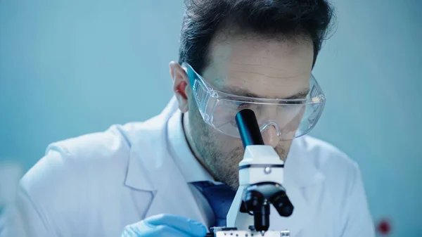 Вчений в окулярах і під час шерсті дивиться через мікроскоп в лабораторії — стокове фото
