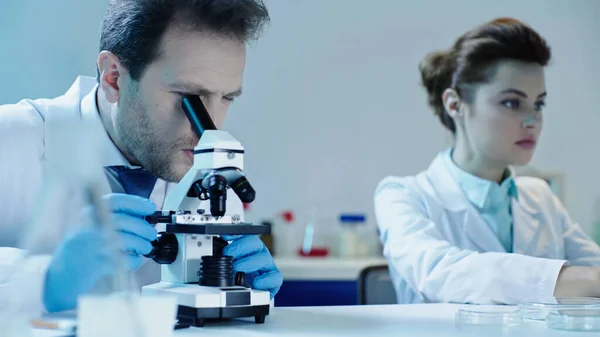 Вчений робить перегляд через мікроскоп поблизу красивого колеги, сидячи в лабораторії — стокове фото