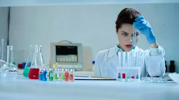 Гарний вчений у білому пальто дивиться на пробірку з зразком біля колб з рідиною в лабораторії — стокове фото