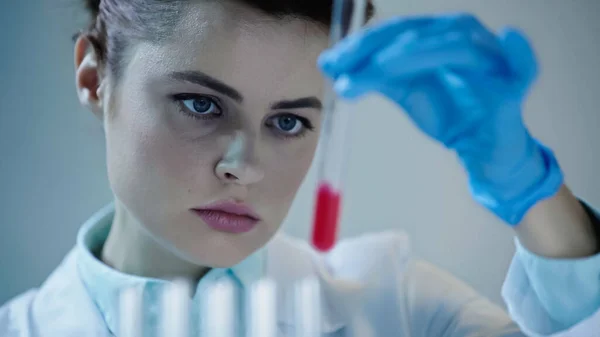 Female scientist in latex glove holding blurred test tube with red liquid in lab — Stock Photo