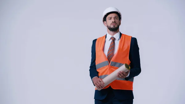 Arquiteto sério no desgaste formal e colete de segurança segurando tubo de planta isolado em cinza — Fotografia de Stock