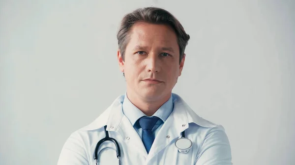 Serious doctor in white coat and with stethoscope looking at camera isolated on grey — Stock Photo