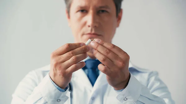 Blurred doctor in white coat breaking cigarette isolated on grey — Stock Photo