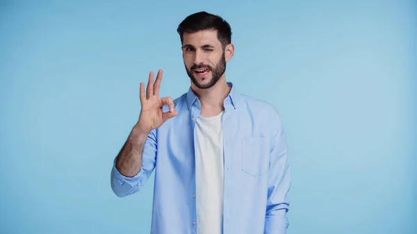 Homem alegre e barbudo na camisa mostrando sinal ok isolado no azul — Fotografia de Stock