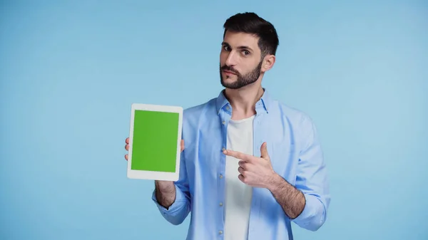 Hombre barbudo apuntando con el dedo a la tableta digital con pantalla verde aislada en azul - foto de stock