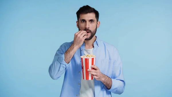 Barbudo hombre sosteniendo cubo mientras comer sabrosas palomitas de maíz aislado en azul - foto de stock