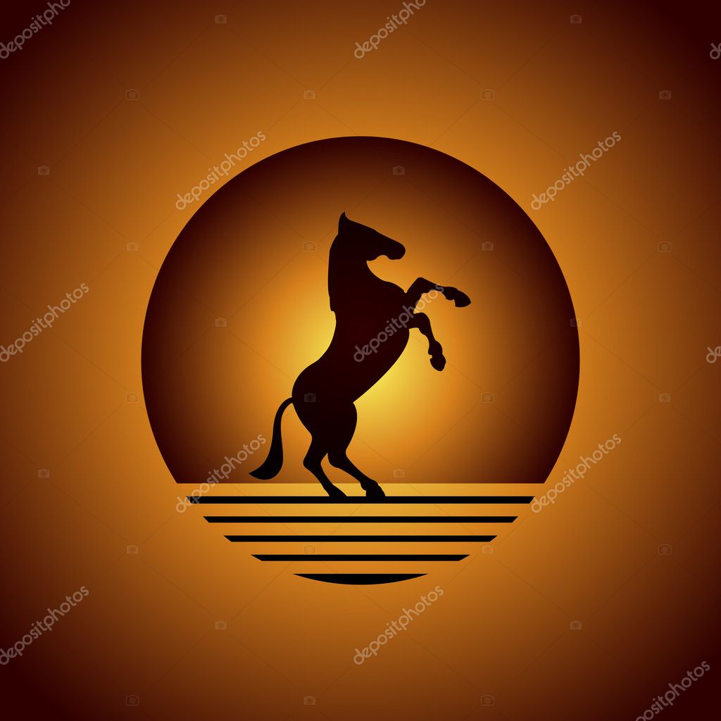 Horse in desert