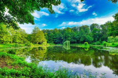 Parlak yaz gününde ağaçlarla çevrili güzel bir gölet.