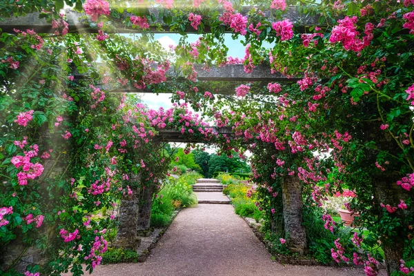Rosas rosa entrelaçadas em torno do pavilhão no dia de verão Fotos De Bancos De Imagens