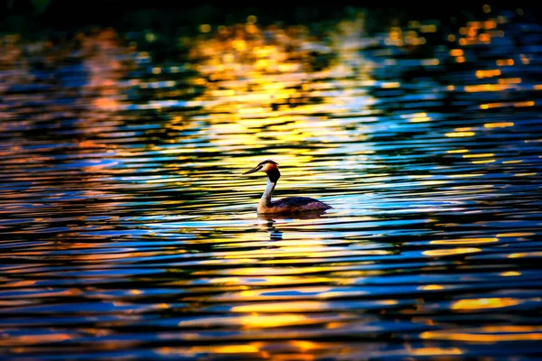 カラフルな湖の美しい夕日の光の中で素晴らしい胸の高鳴り — ストック写真