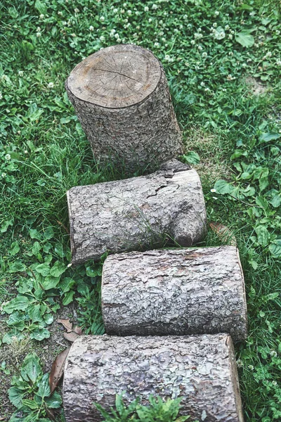 Cut tree trunk. Huge tree trunk cut into 4 pieces. Oak tree trunk sawn in parts lying together on the grass. Deforestation and climate emergency.