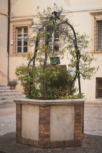 Ancient well covered with climbing plants. Elegant historical well in the internal garden of an Italian villa. Romance and old memories.