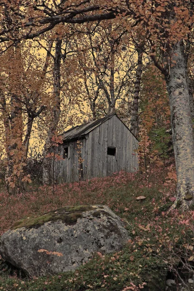 Creepy haunted house in the woods under a yellow sky and a dark and scary atmosphere