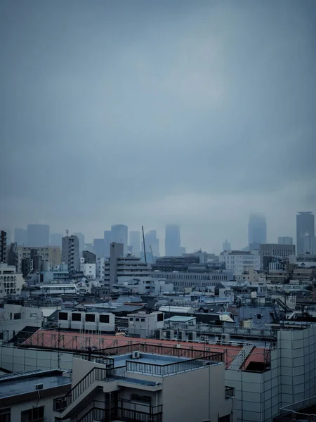 Overview of suburbs of Tokyo. Vertical view of the Japanese capital. Dramatic scene of Tokyo in a cloudy morning. Industry and agglomerations of buildings.
