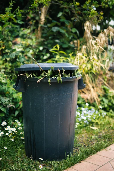 Full greenery bin in a garden.Green lid bin with branches and leaves coming out. Separate collection and management of garden waste.