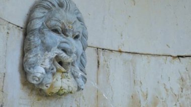 Roma mermer yüzlü çeşme. Ağzından su fışkıran antik bir italyan çeşmesinin yakınında. Ortaçağ Neptün 'ün ağzı açık heykelinin.