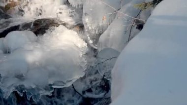 Yalnız köpek sahibini arıyor. Sevimli köpek kucaklaşmak için yaklaşıyor. Verona, İtalya sokaklarında hayvanlar için sevgi. İnsanlar geçiyor..