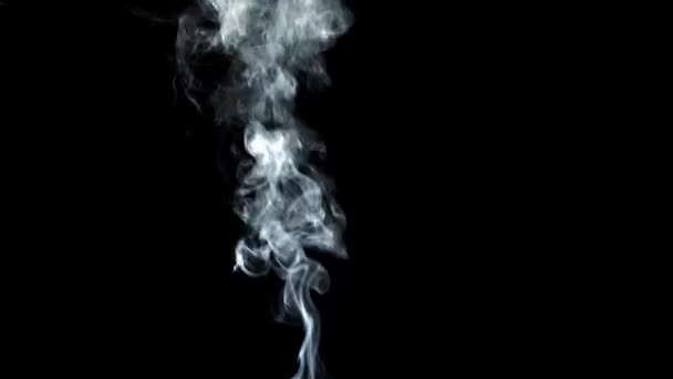 Smoke Black Background Smoke Created Small Fire — Stockvideo