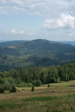 Karpat Dağları 'nın muhteşem manzarası. Orman ve mavi gökyüzü