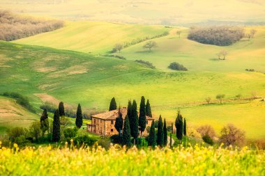 Lente in de Toscane