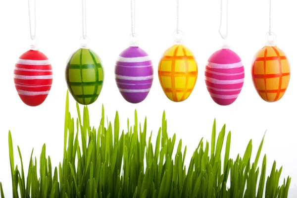 Colorful Easter eggs above the grass — Stock Photo, Image