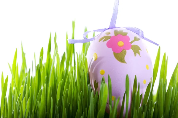 Colorful Easter eggs above the grass — Stock Photo, Image