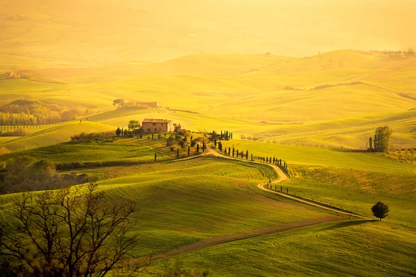 Primavera in Toscana — Foto Stock