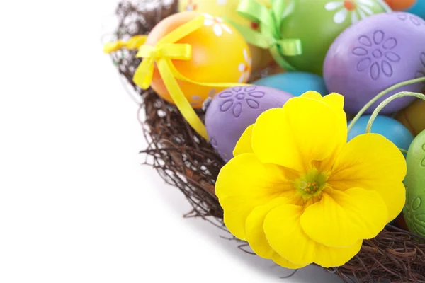 Yellow flower and colorful Easter eggs — Stock Photo, Image