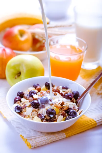 블루베리로 건강 한 아침 식사 muesli 로열티 프리 스톡 사진