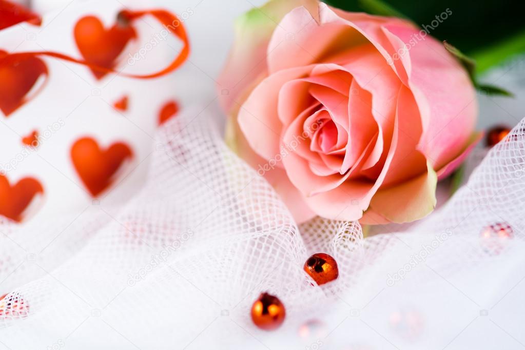Romantic single perfect pink rose