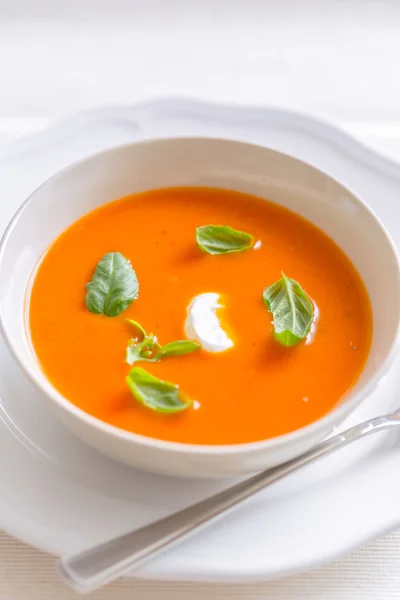 Sopa de creme de tomate fresco decorada com manjericão Imagem De Stock