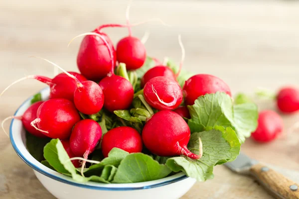 Bunch of fresh radishes in a bowl Stock Picture