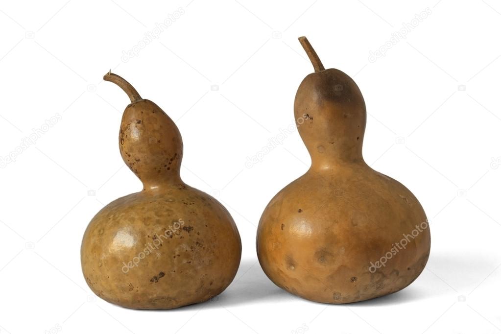 Butternut pumpkins