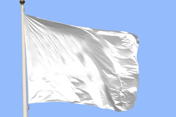 Hvidt flag - Stock-foto